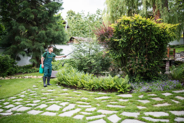 Best Best Pest Control Companies  in Avoca, PA