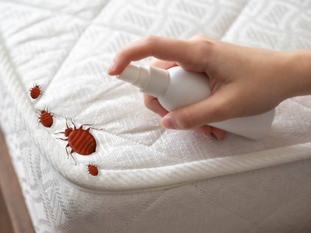 Professional Pest Control in Avoca, PA